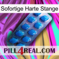 Instant Hard Rod viagra1